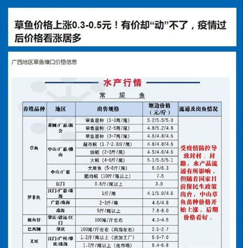 餐飲客流設(shè)計(jì)方案[餐飲客流量分析報(bào)告]