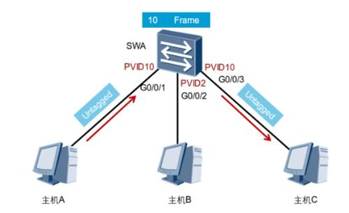 項目設(shè)計方案表[項目方案設(shè)計主要包括]