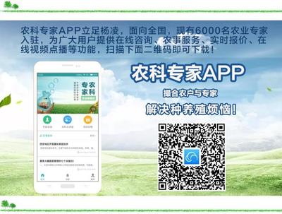 蘋果官方人工在線咨詢,蘋果官方人工服務(wù)熱線24小時(shí)