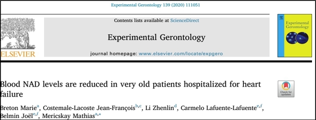 experimental,experimental neurology影響因子