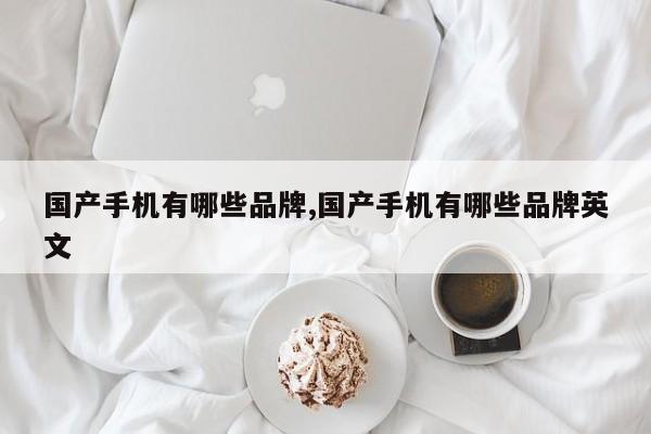 國產(chǎn)手機有哪些品牌,國產(chǎn)手機有哪些品牌英文