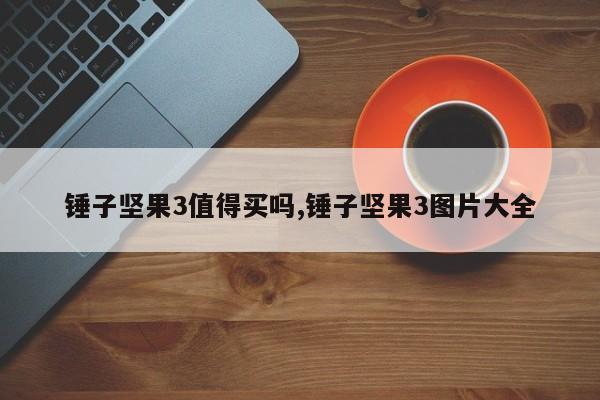 錘子堅果3值得買嗎,錘子堅果3圖片大全