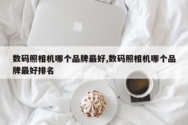 數(shù)碼照相機哪個品牌最好,數(shù)碼照相機哪個品牌最好排名