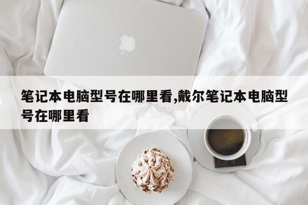 筆記本電腦型號(hào)在哪里看,戴爾筆記本電腦型號(hào)在哪里看
