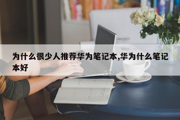 為什么很少人推薦華為筆記本,華為什么筆記本好