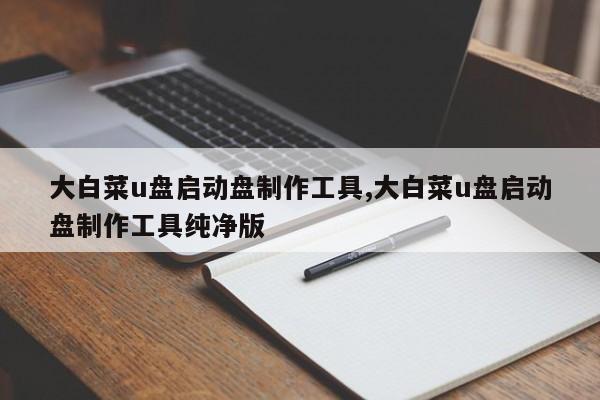 大白菜u盤(pán)啟動(dòng)盤(pán)制作工具,大白菜u盤(pán)啟動(dòng)盤(pán)制作工具純凈版
