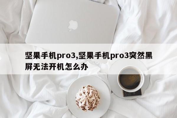 堅果手機(jī)pro3,堅果手機(jī)pro3突然黑屏無法開機(jī)怎么辦
