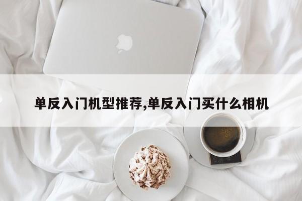 單反入門機(jī)型推薦,單反入門買什么相機(jī)