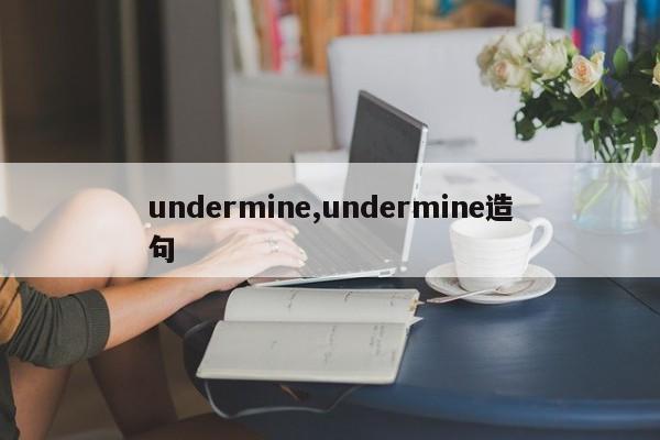 undermine,undermine造句